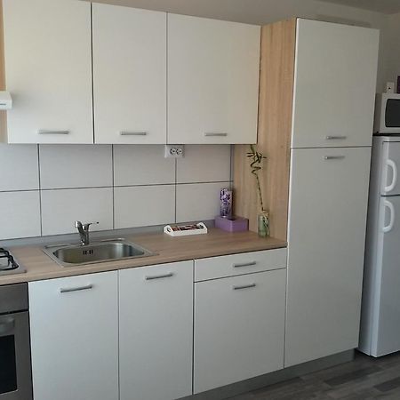 Studio apartman Toplica Daruvar Esterno foto